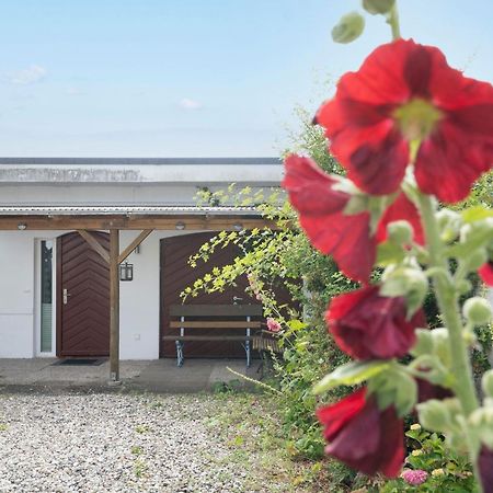 Appartamento Haus Waldfrieden Ferienhaeuschen Waldfrieden Haffkrug Esterno foto