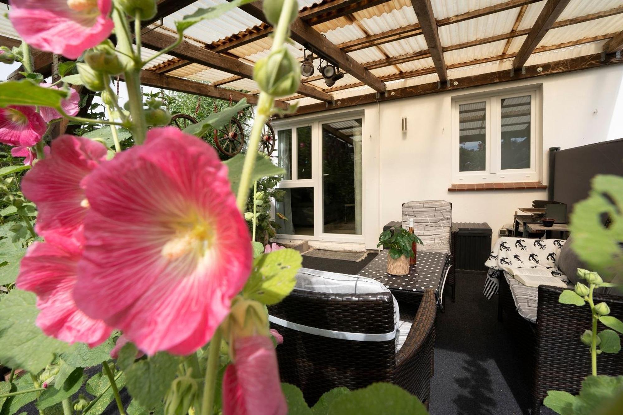 Appartamento Haus Waldfrieden Ferienhaeuschen Waldfrieden Haffkrug Esterno foto
